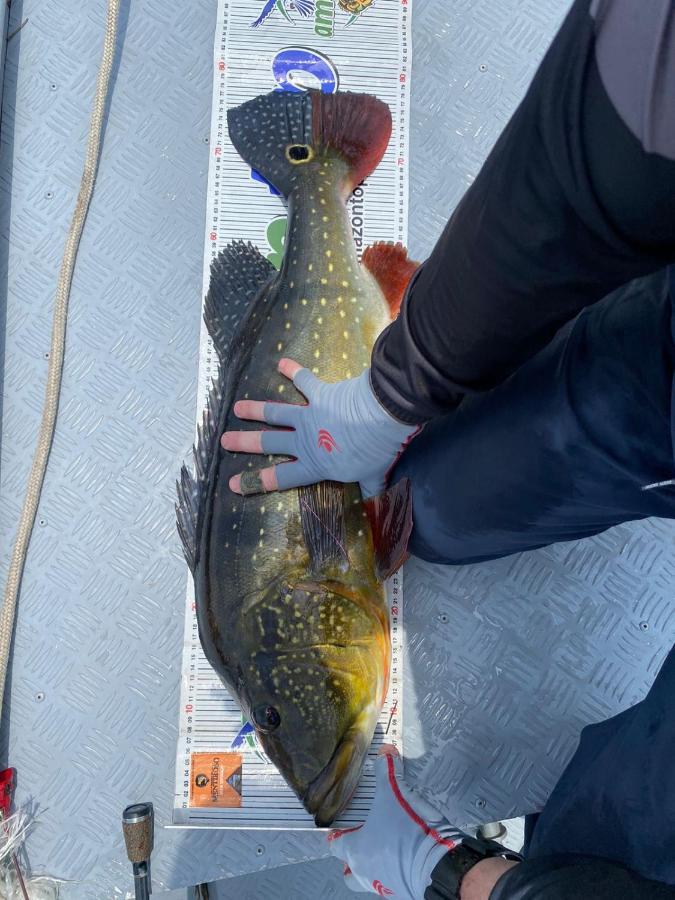 Tucunare Sport Fishing 호텔 Itacoatiara  외부 사진